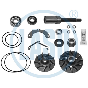 Reparo Bomba de Agua D10A TD102 K