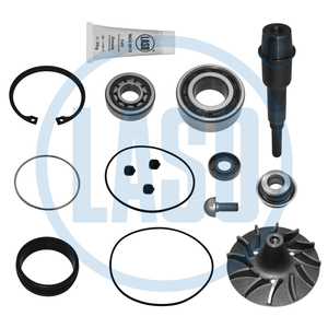 Reparo Bomba de Agua D16A