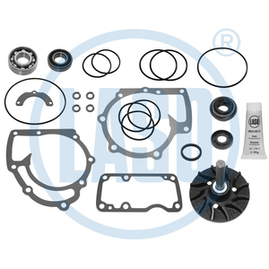 Reparo Bomba de Agua F12