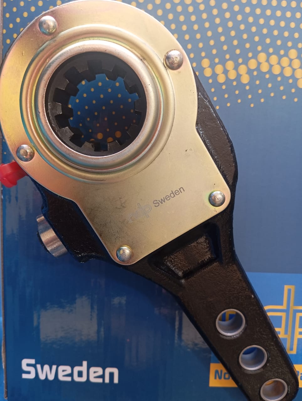 CHICHARRA 10 DIENTES