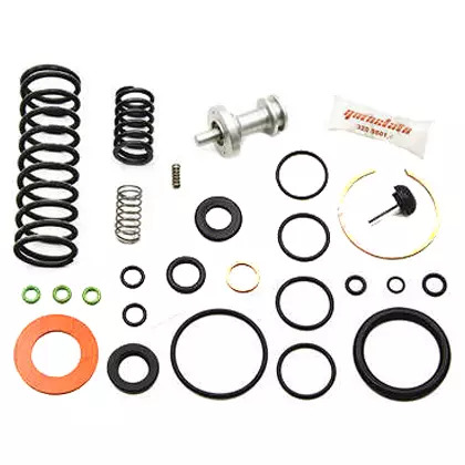 REPARO DISPARADOR FH QUINELATO