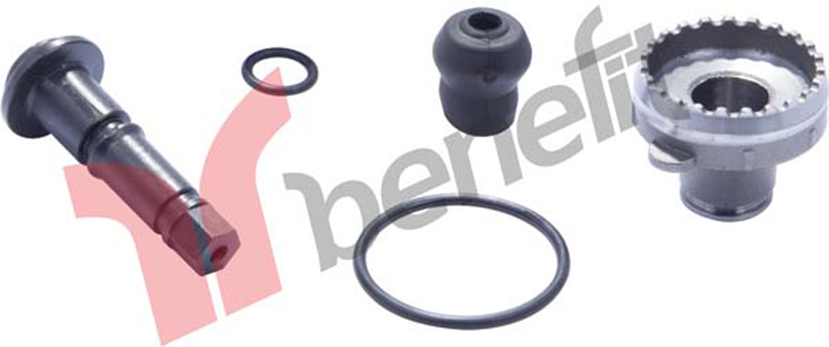 R. REGULADOR DIENTE MENUDO